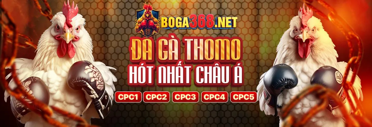 Phương thức thanh toán nhanh chóng và an toàn tại 555win