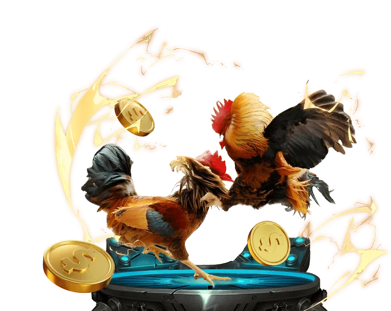 Hoàn trả cực cao 555win